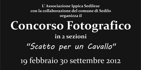 Immagine rappresentativa per: Concorso fotografico: scatto per un cavallo