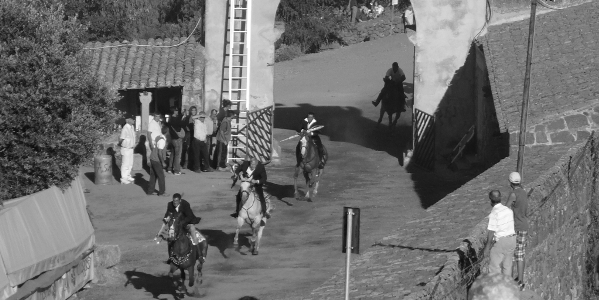 Immagine rappresentativa per: L'origine dell'Ardia