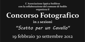 Immagine rappresentativa per: Concorso fotografico: scatto per un cavallo