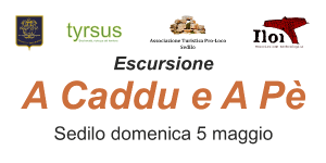 Immagine rappresentativa per: Escursione a caddu e a p