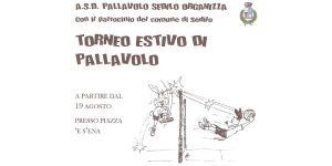 Immagine rappresentativa per: Torneo estivo di pallavolo 2013