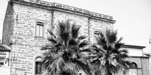 Immagine rappresentativa per: I musei